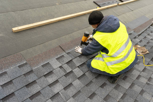 Best Gutter Installation and Roofing  in Broxton, GA