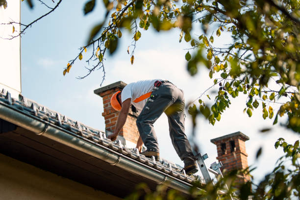 Best Gutter Installation and Roofing  in Broxton, GA